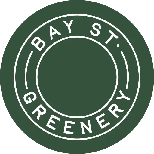 Bay Street Greenery Favicon